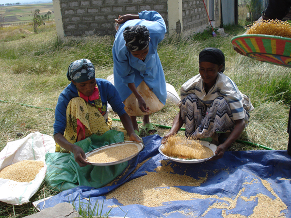 Agricoltura ed Allevamento