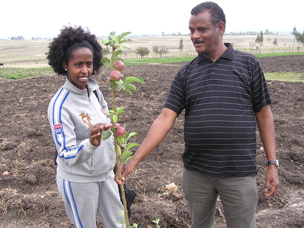 Agricoltura ed Allevamento