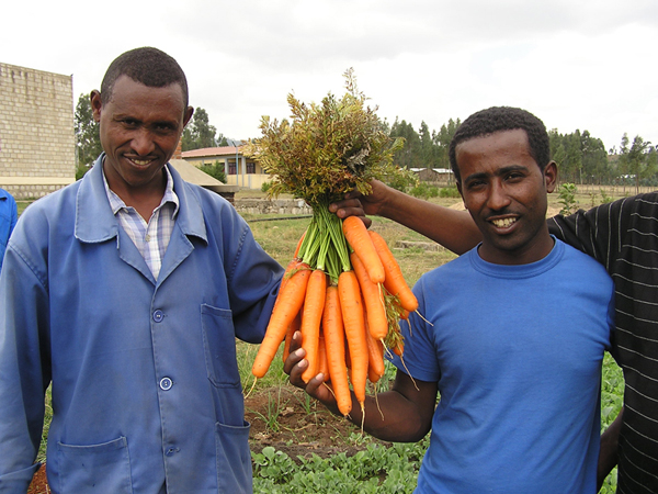 Agricoltura ed Allevamento